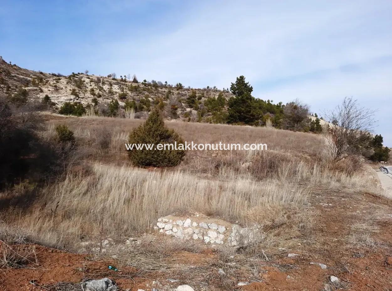 15.250 M2 Schnäppchengrundstück Zum Verkauf In Çameli Kınıkyeri Acıpayam Road