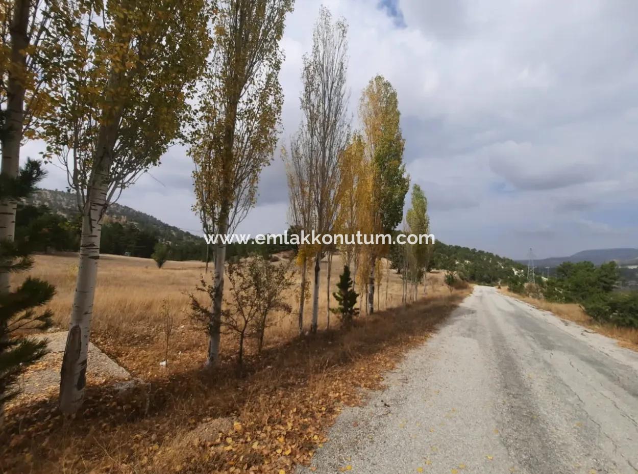 6 230 M2 Freistehendes Grundstück Zum Verkauf Oder Tausch An Der Alten Acıpayam-Straße In Çameli Cumanda