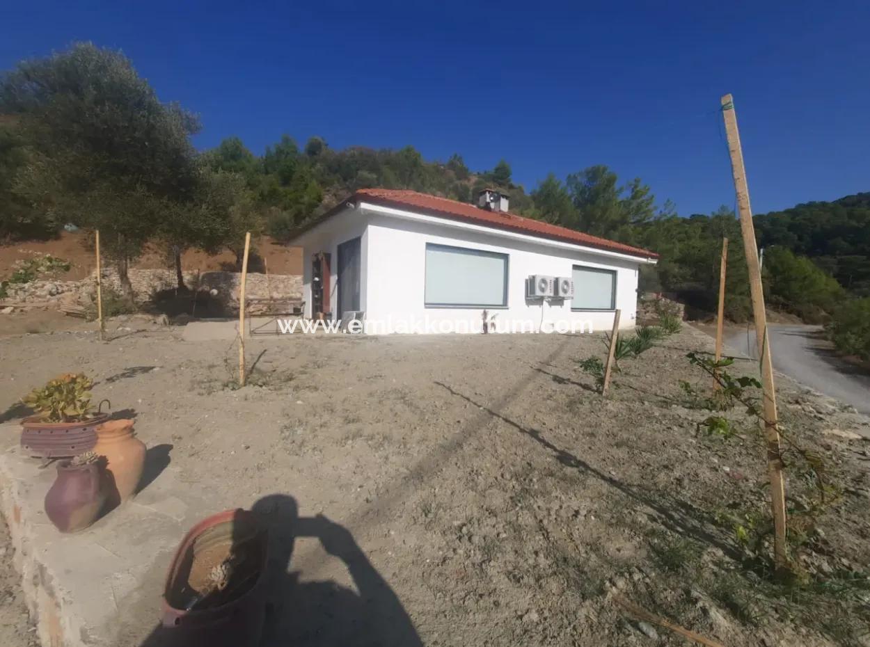 2 Einheiten Von 1 1 Wohnung Zum Verkauf Auf 1700 M2 Freistehendem Grundstück In Muğla Gökbel