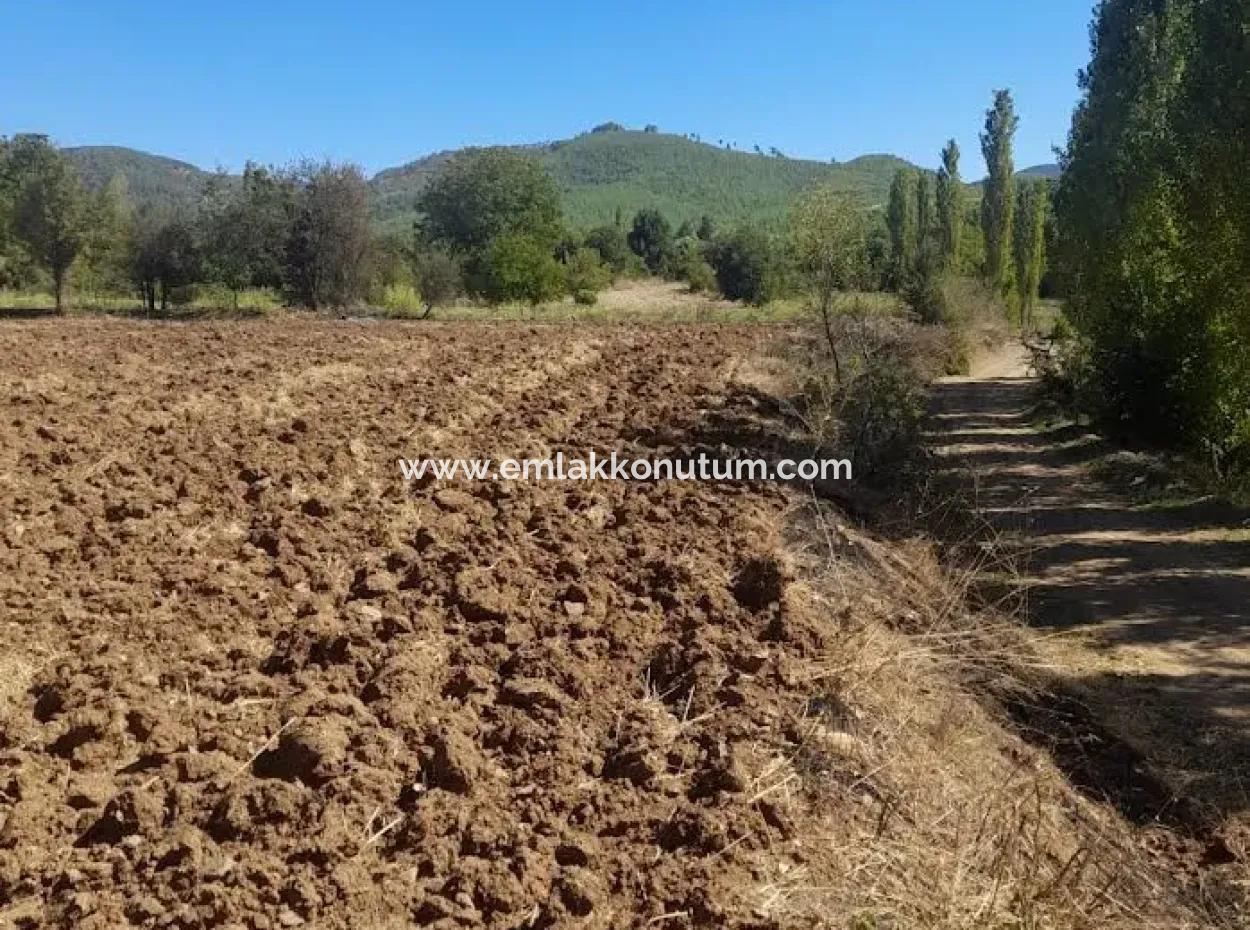 Denizli Beyağaç Sazak 317 M2 Freistehendes Grundstück Mit Eigentumsurkunde Zonierung Zum Verkauf