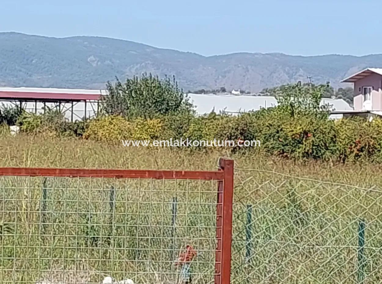 Grundstück Und 2 In 1 Containerhaus Zum Verkauf An Der Dalyan Eskiköy Farm Road