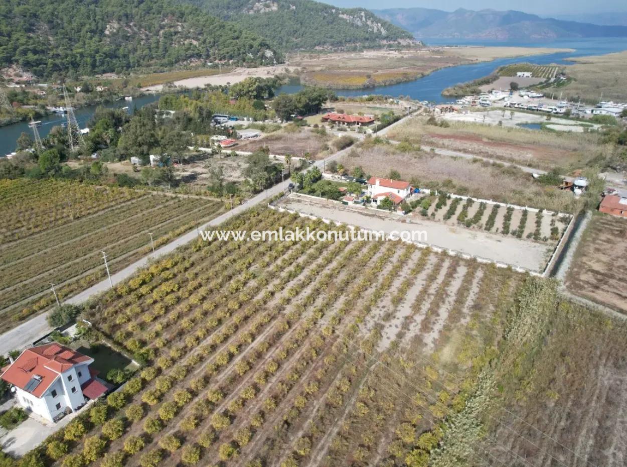 Muğla Dalyanda Kanal 2. Parzelle Freistehend 5.000 M2, 250 M2 Grundstück Mit Baurecht Zu Verkaufen