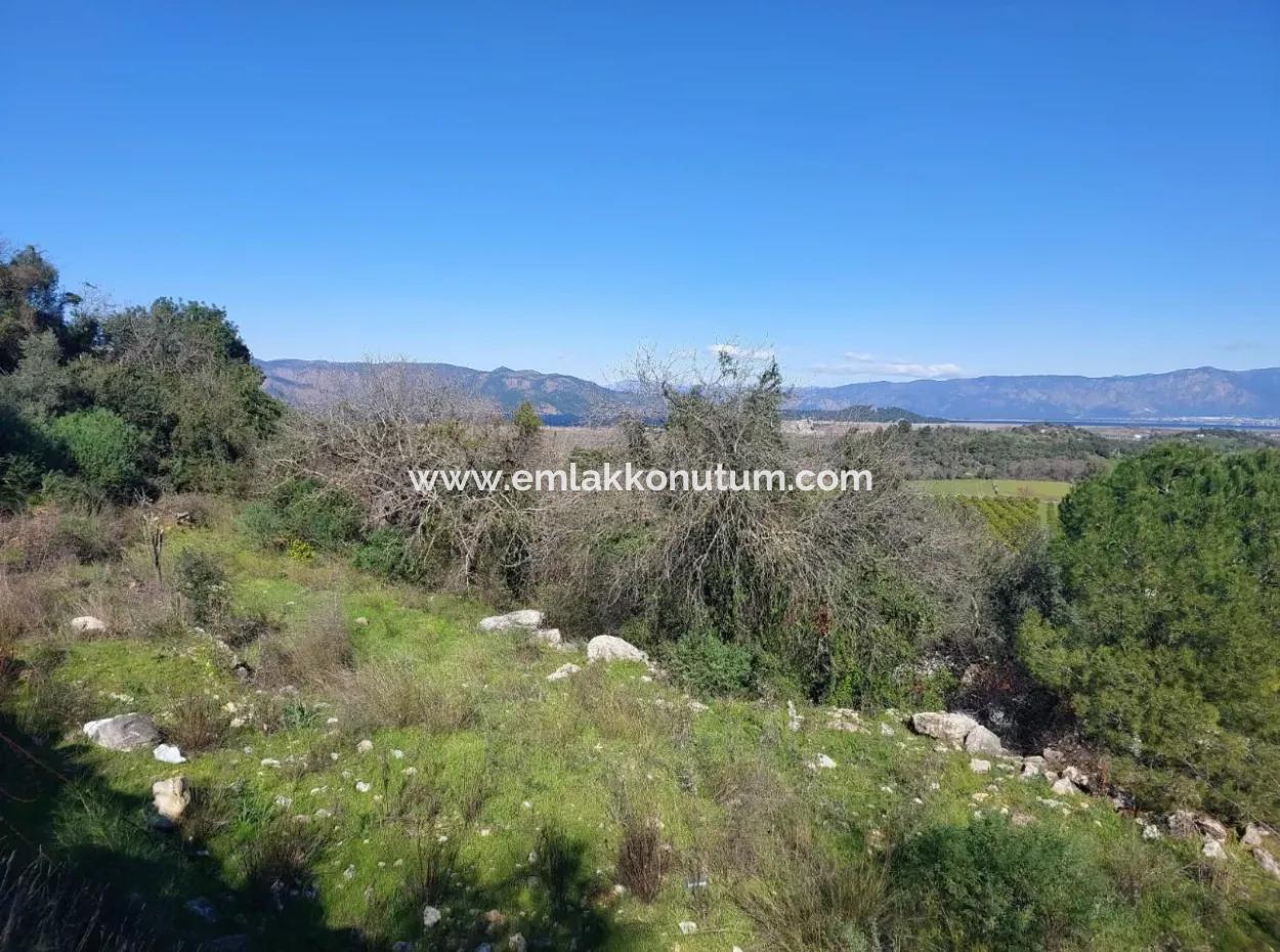 1.000M2 Freistehendes Grundstück Mit Blick Auf Den Köyceğiz-See Zum Verkauf In Dalyan