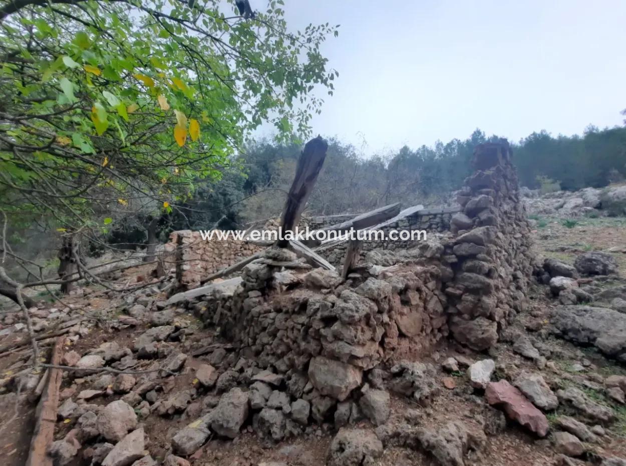 24.000 M2 Freistehendes Grundstück Zum Verkauf In Muğla Dalyan Gökbelde Natur