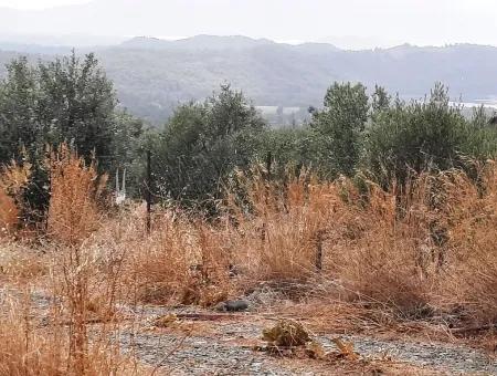 Freistehendes Land Mit Seeblick Zum Verkauf In Köycee'iz Zeytin Bereich