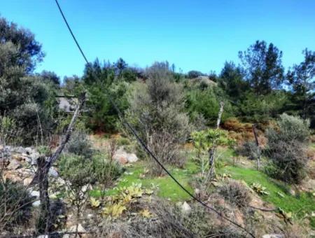 Mugla Dalyan Gokbel 1700 M2 Freistehendes Land Und Bungalow Mit Blick Auf Die Natur