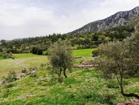 Freistehendes Dorfhaus In Der Natur Zu Verkaufen In Fethiye Gocek Ta'basi