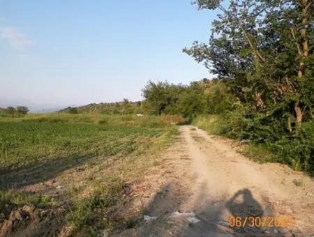 10 000 M2 Fruchtbares Land Zum Verkauf In Mugla Ortaca Mergenli