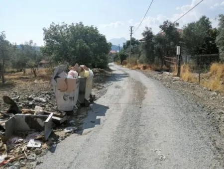 2 Einfamilienhäuser Zum Verkauf In 1992 M2 Grundstück Mit Blick Auf Den See In Köyceğiz Zeytinalanı