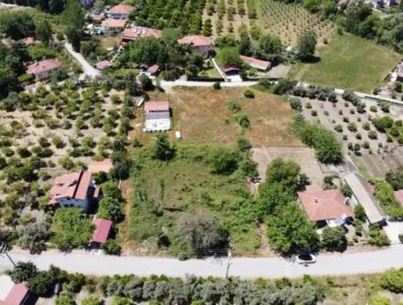 734 M2 2 Parzelle Grundstück Zum Verkauf In Dalyan Archers