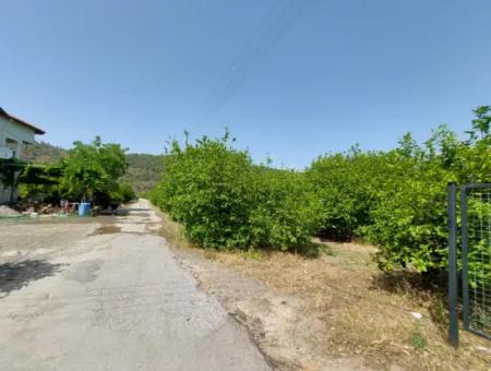 Muğla Ortaca Ekşiliyurtta Wohngebiet Freistehendes 2 000M2 Grundstück Zum Verkauf