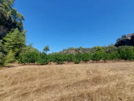 4.427 M2 Fruchtbares Land Mit Blick Auf Die Berge Und Die Natur In Ortaca Okçular Zu Verkaufen