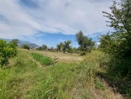 Fruchtbares 1.680 M2 Land Am Berghang Zum Verkauf In Dalyan, Muğla