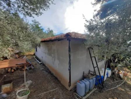 11.650M2 Freistehendes Grundstück Mit Meerblick Und 1 1 Haus Zum Verkauf In Göcek Gökçeovacik