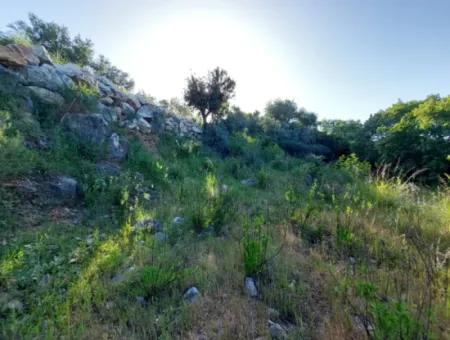 1.000M2 Freistehendes Grundstück Mit Blick Auf Den Köyceğiz-See Zum Verkauf In Dalyan