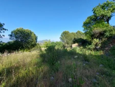 1.000M2 Freistehendes Grundstück Mit Blick Auf Den Köyceğiz-See Zum Verkauf In Dalyan