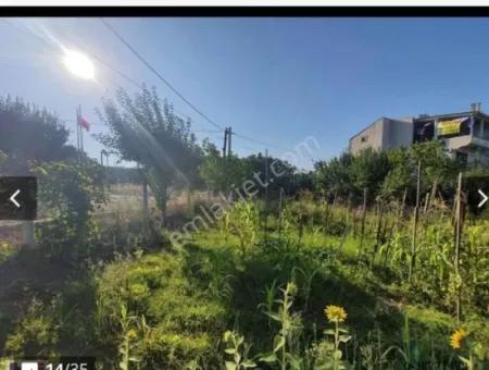 340 M2 Land In Tekirdag Çorlu Yenicede Stehen Zum Verkauf Oder Tauschen Gegen Immobilien Aus Mugla