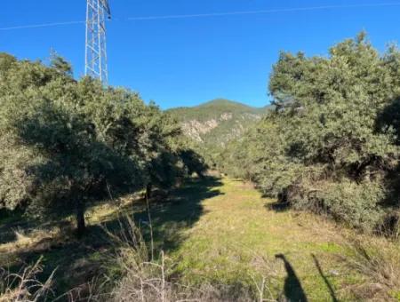 Zu Verkaufen 3.300 M2 Land Zur Deponierung In Muğla, Köyceğiz, Ekincik