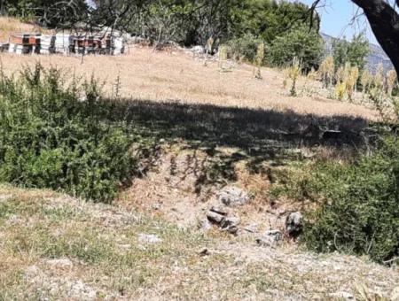 400 M2 0/60 Zoniertes Grundstück In Denizli Çameli Zentrum Zum Dringenden Verkauf