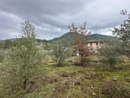 Zu Verkaufen In Fethiye Gökçeovacıkta 1709 M2