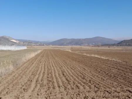 6 600 M2 Freistehendes Grundstück Mit Seeblick Zum Verkauf In Burdur Gölhisar Kargalı Dorf