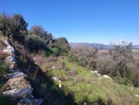 1.000M2 Freistehendes Grundstück Mit Blick Auf Den Köyceğiz-See Zum Verkauf In Dalyan