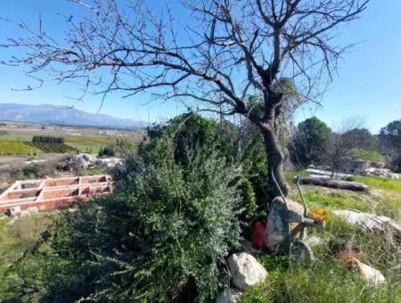 1.000M2 Freistehendes Grundstück Mit Blick Auf Den Köyceğiz-See Zum Verkauf In Dalyan