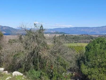 1.000M2 Freistehendes Grundstück Mit Blick Auf Den Köyceğiz-See Zum Verkauf In Dalyan