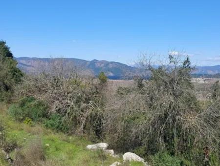 1.000M2 Freistehendes Grundstück Mit Blick Auf Den Köyceğiz-See Zum Verkauf In Dalyan