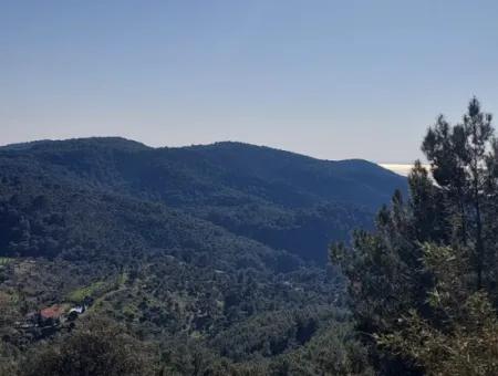 28.350 M2 Grundstück Zum Verkauf In Ortaca Gökbelde Mit Freistehender Eigentumsurkunde Mit Meerblick