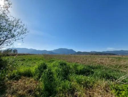 Fruchtbares 6.350 M2 Land Zum Verkauf In Muğla Ortaca Güzelyurt