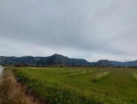 5094 M2, 250 M2 Granatapfelgarten, Geeignet Für Investitionen Mit Baugenehmigung Zum Verkauf In Dalyan.