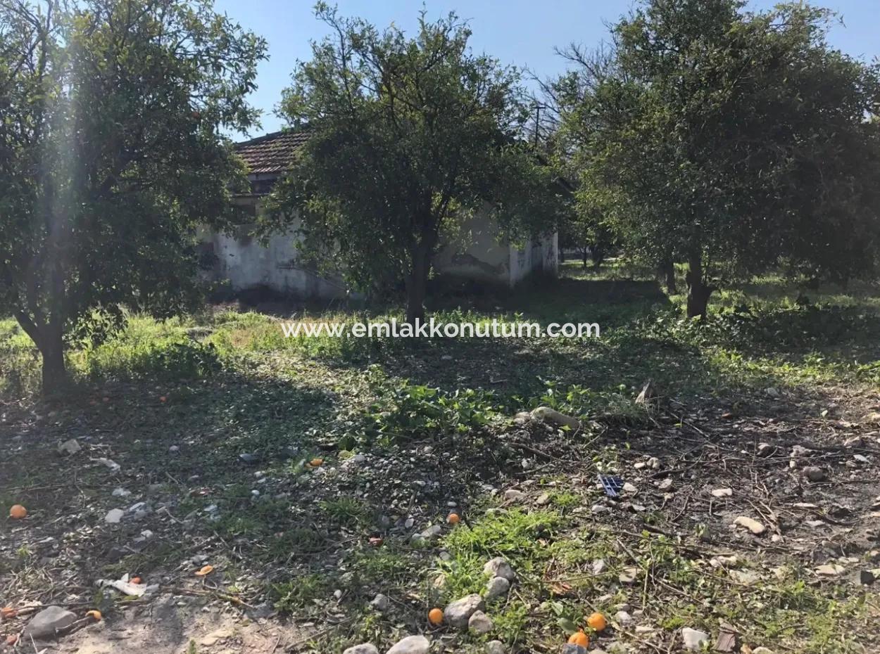 Land And Old Village House For Sale In Köyceeğiz Fire