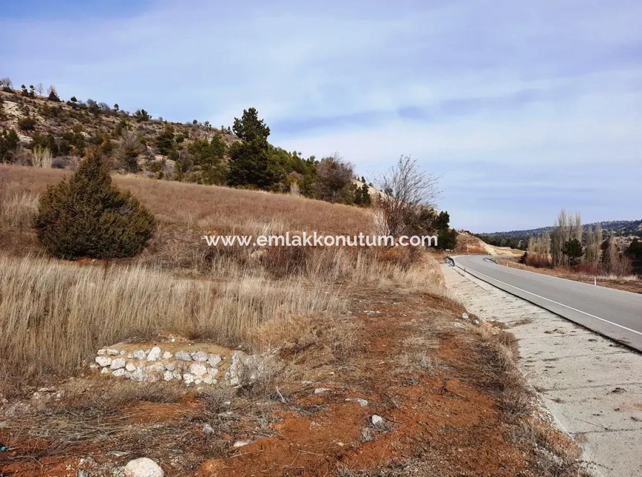 15.250 M2 Bargain Land For Sale In Çameli Kınıkyeri Acıpayam Road