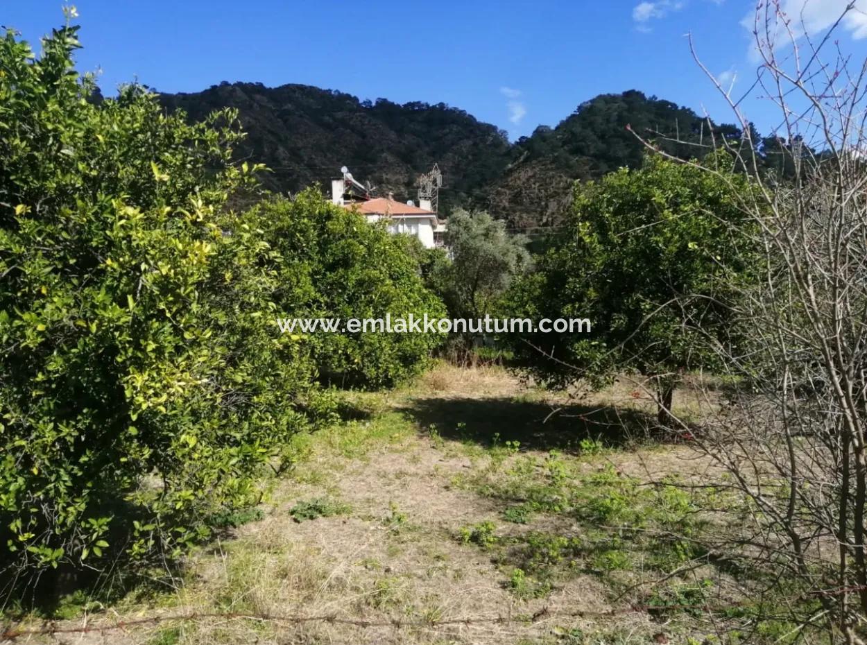 3 Plots Of Land For Sale In The Center Of Ortaca, Facing The Dalaman-Fethiye Road