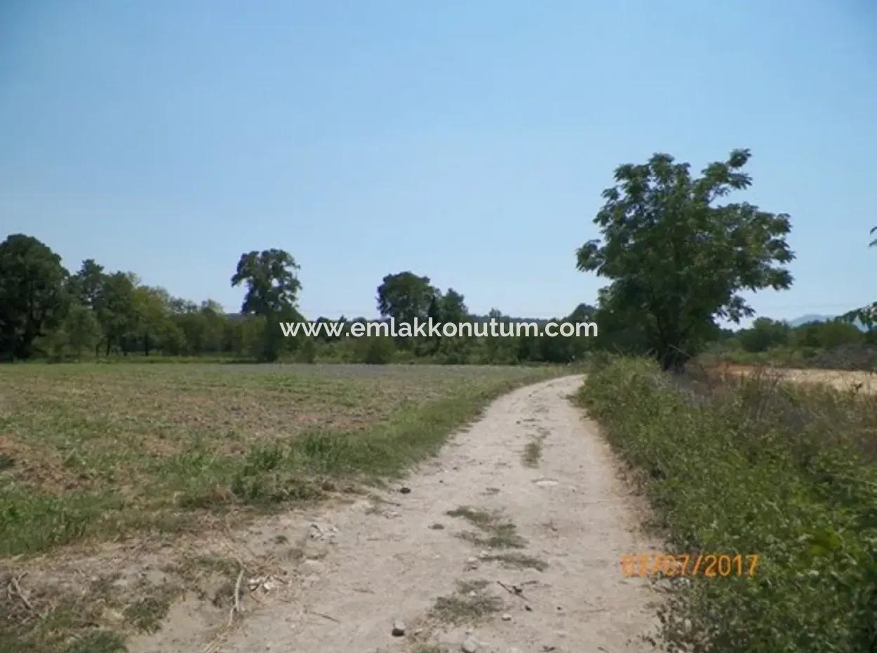 Big Land For Sale In Koycegiz Lake Also Inflammation Zero