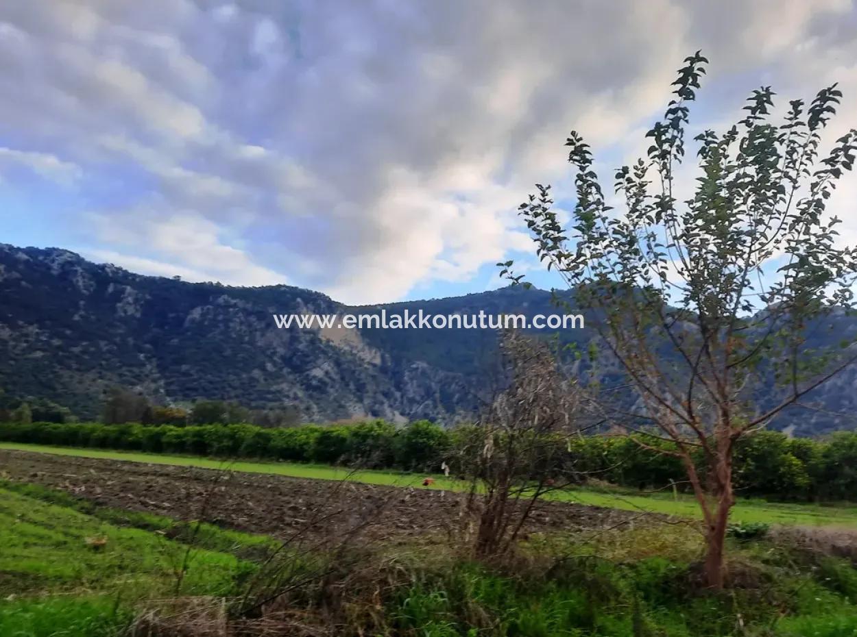 Mugla Dalyan 1100 M2 Land With Bargain Shares Suitable For Investment For Sale