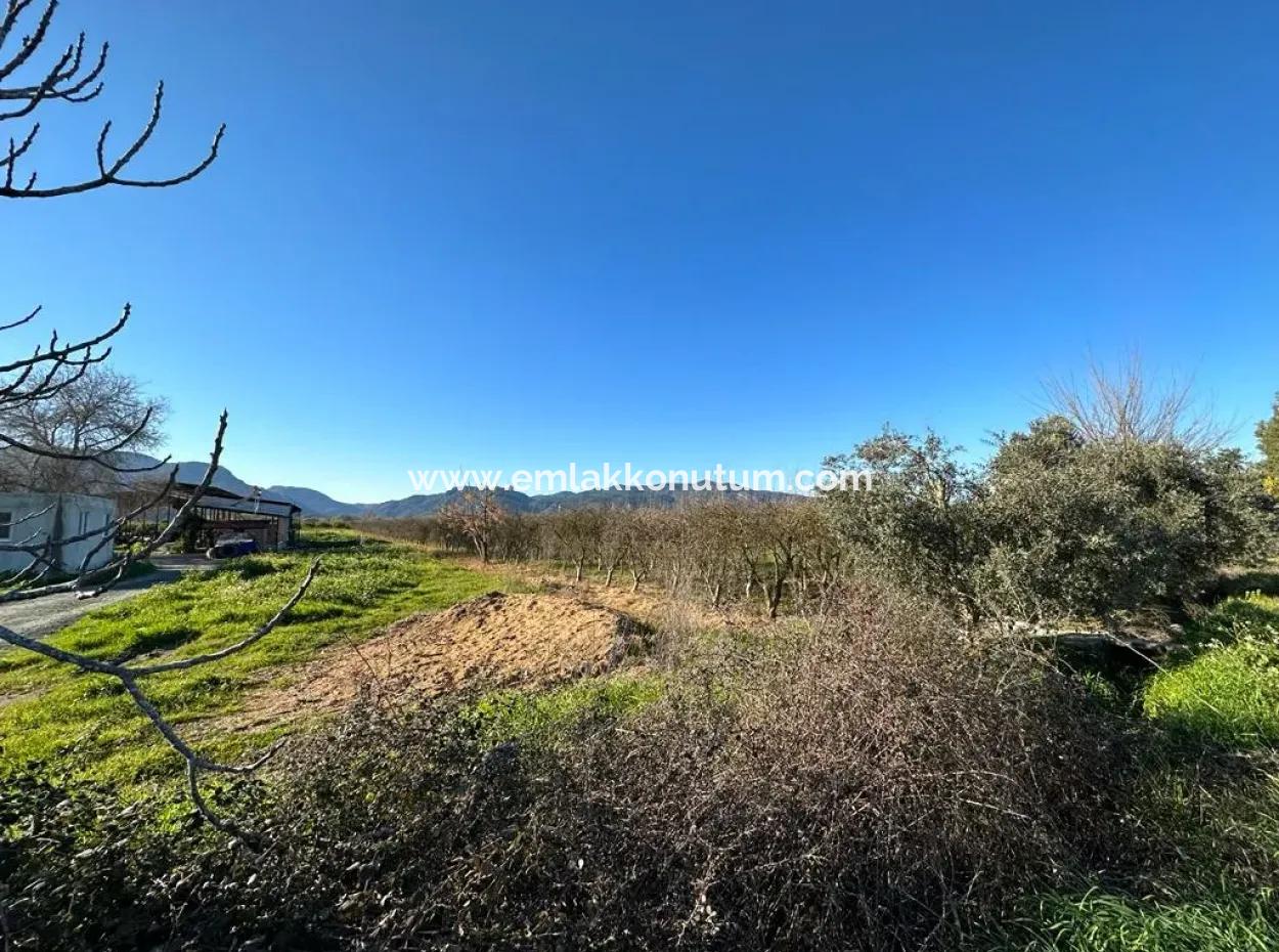 4 378 M2 Detached Bargain Field With Title Deed For Sale In Ortaca Fevziye