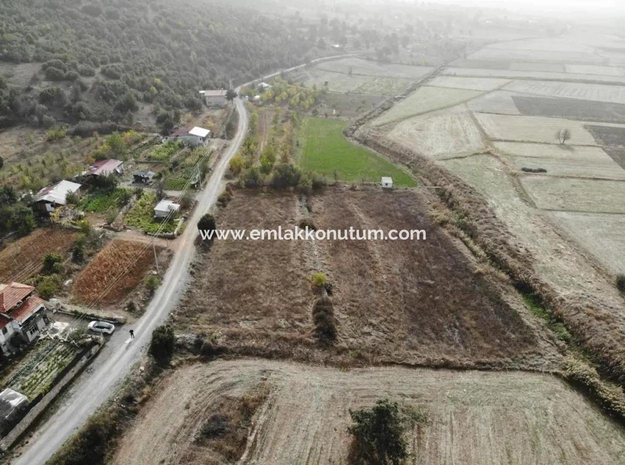 5.000 M2 Detached Land Suitable For Investment In Çameli Belevi For Sale