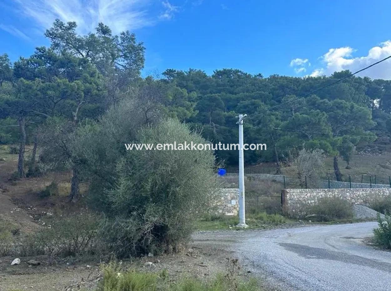 1084 M2 Corner Parcel For Sale In Dalyan Gökbelde