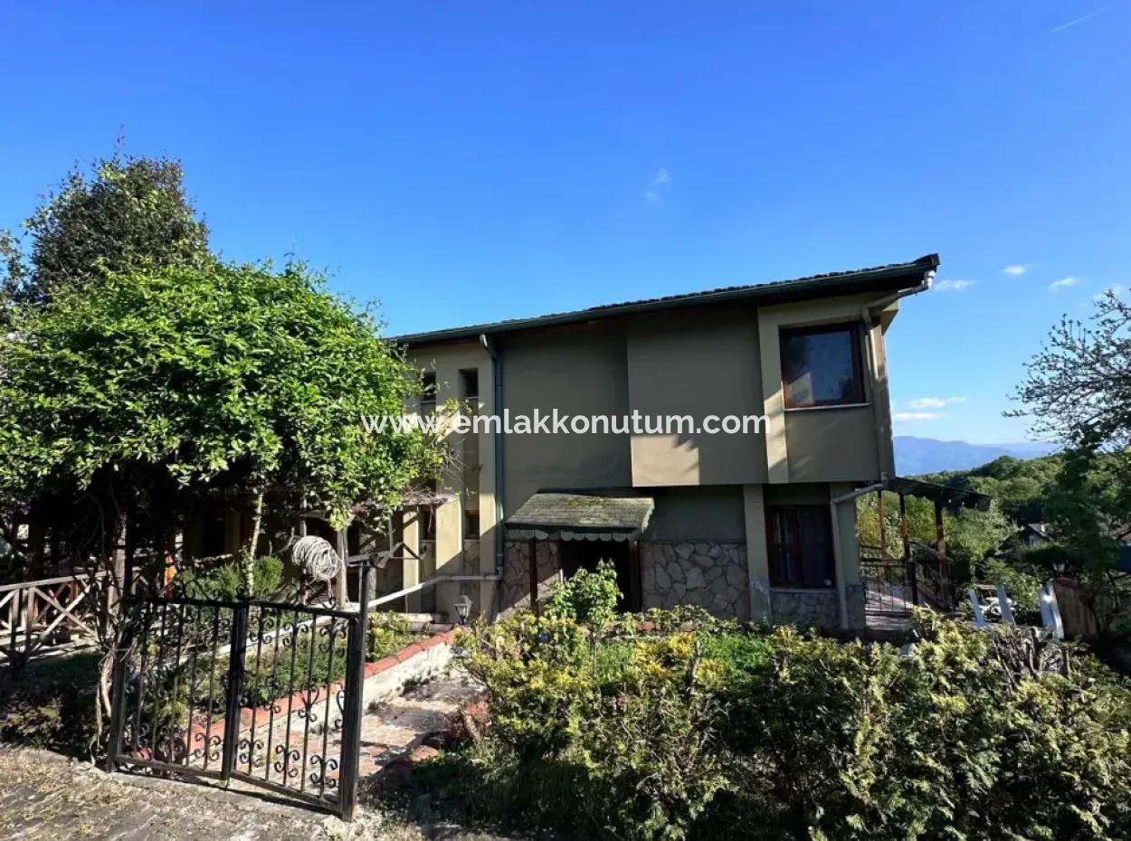 Triplex 3 1 Villa With Swimming Pool In Sakarya Hendek For Sale Or Exchange