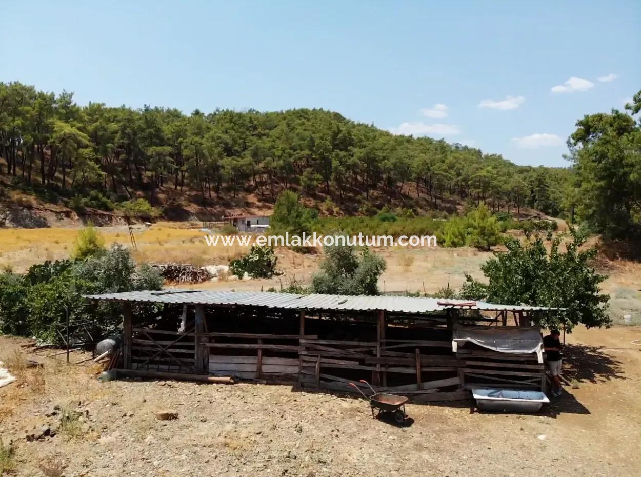 Ortaca Gölbaşı Farm And Detached House For Rent.