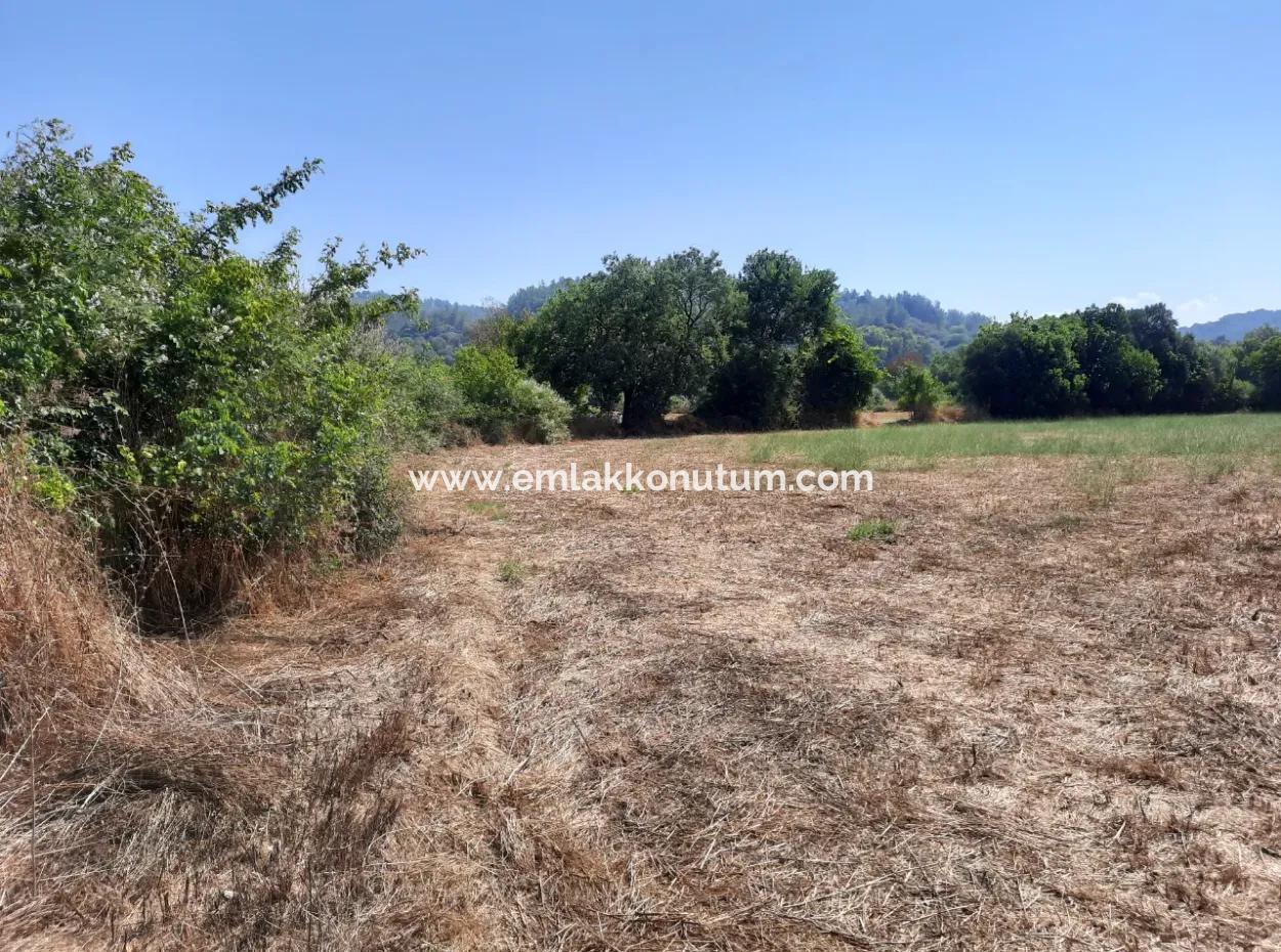 Detached 1876 M2 Bargain Land For Sale In Çameli Cumalanda