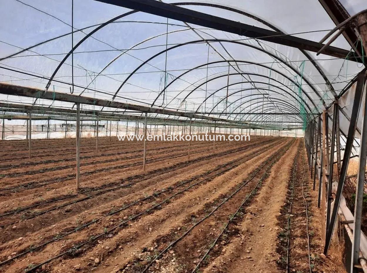 Tunnel Greenhouse For Rent On 2 000 M2 Land In Muğla Ortaca Eskiköy