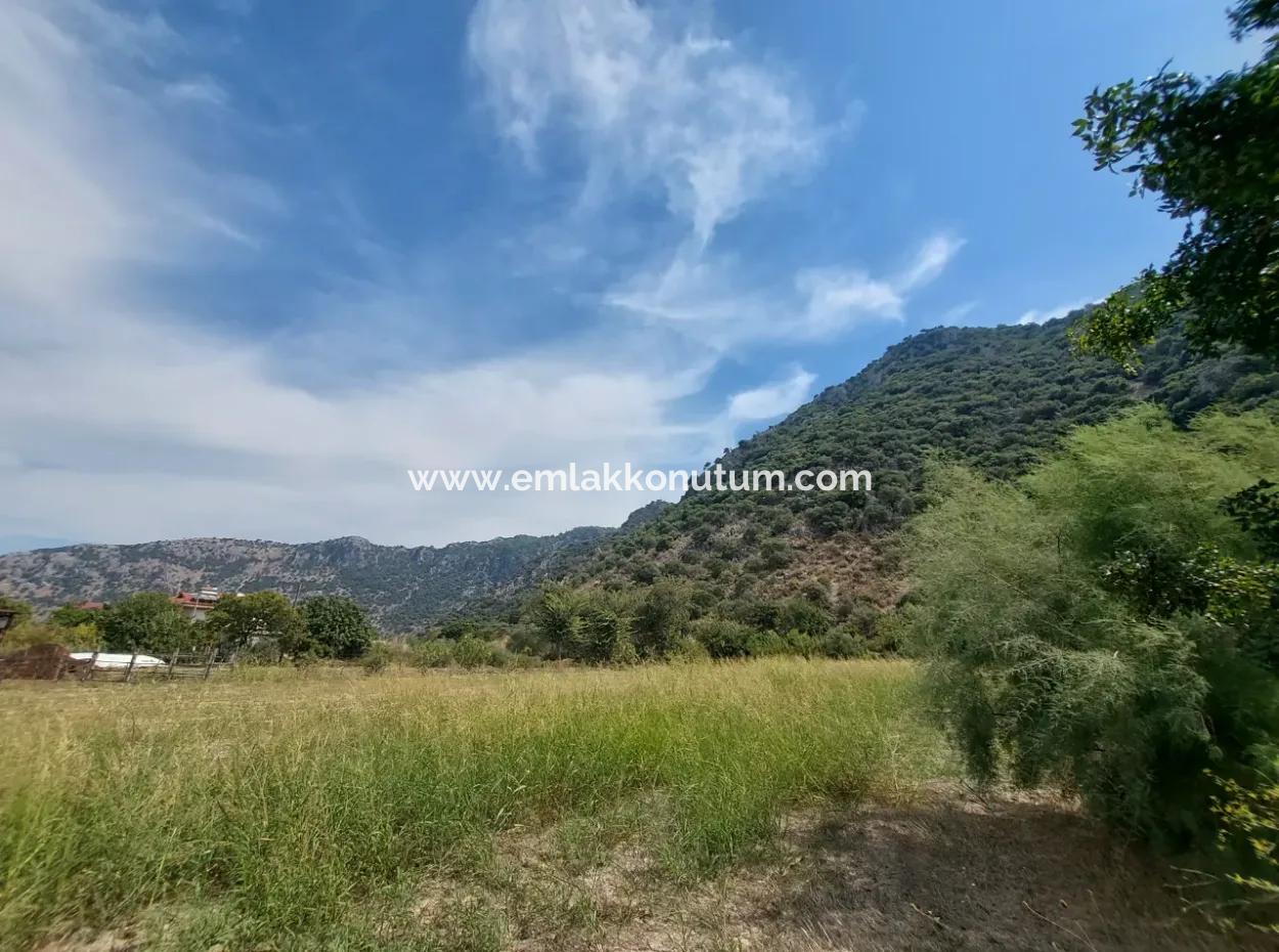 Mountainfront Fertile 1.680 M2 Land For Sale In Dalyan, Muğla