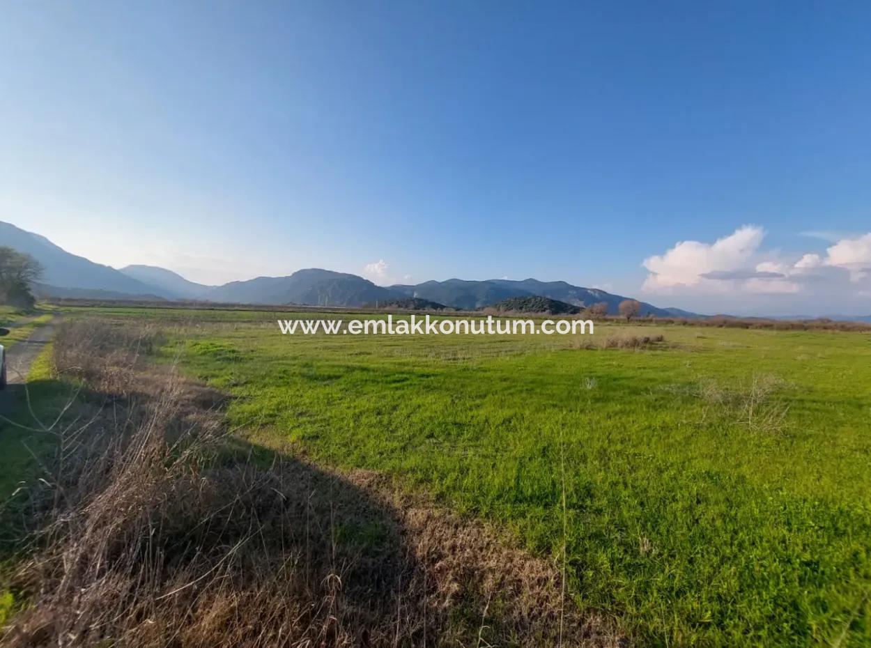 19.000 M2 Kepir Fertile Land Suitable For Investment In Ortaca Güzelyurt For Sale