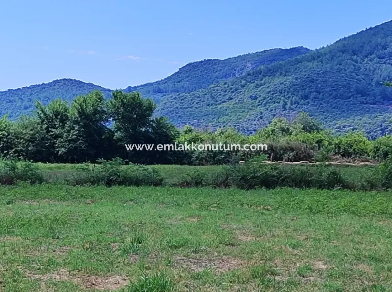 Muğla Ortaca Fevziye 8.440 M2 Land, 703 M2 Shared Field For Sale