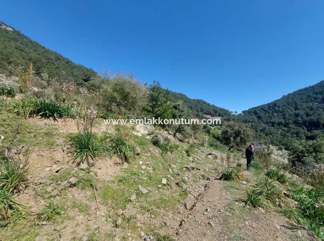 Ortaca Gökbelde 1896 M2 Land For Sale In Nature