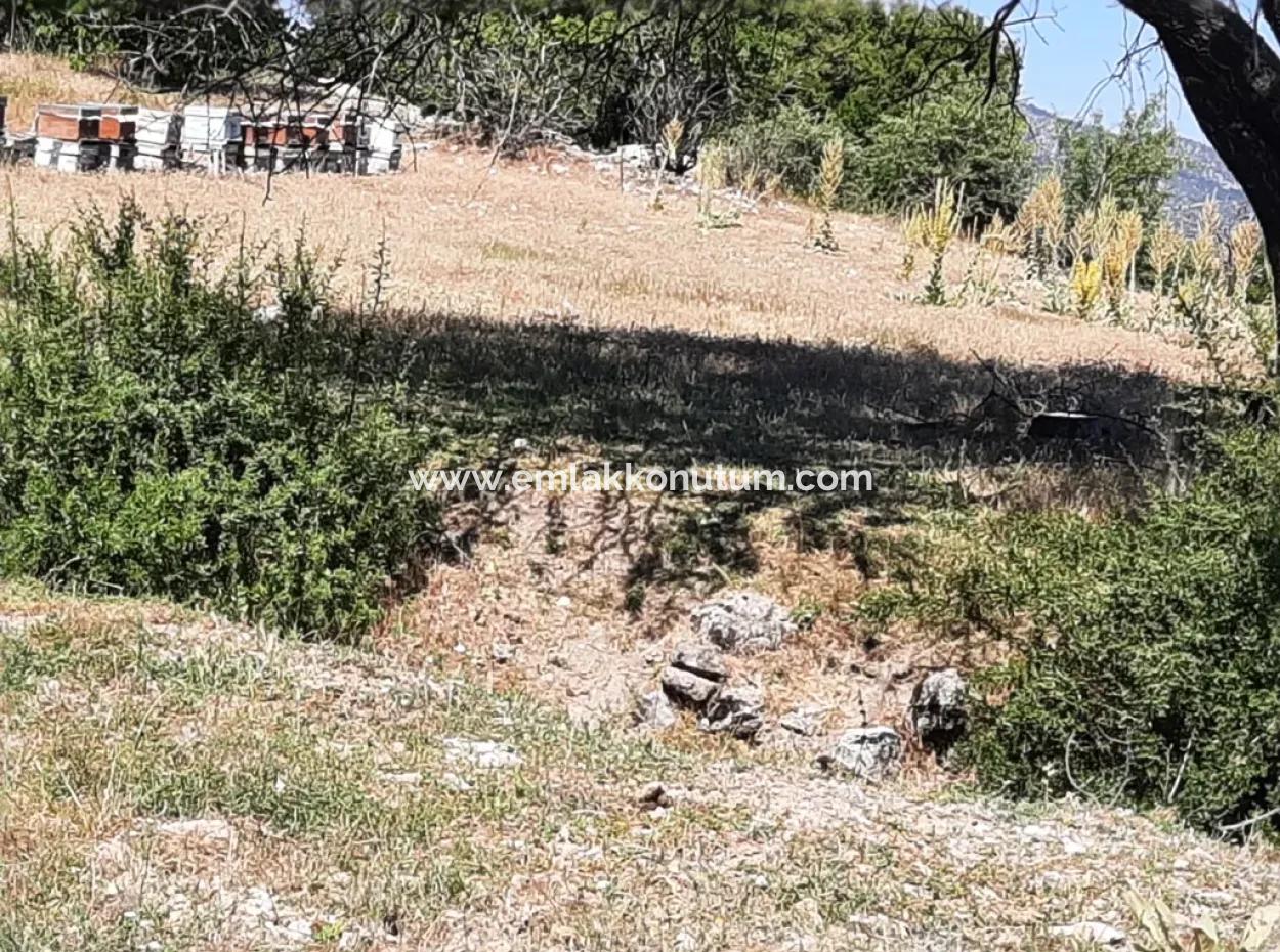 400 M2 0/60 Zoned Land In Denizli Çameli Center For Urgent Sale