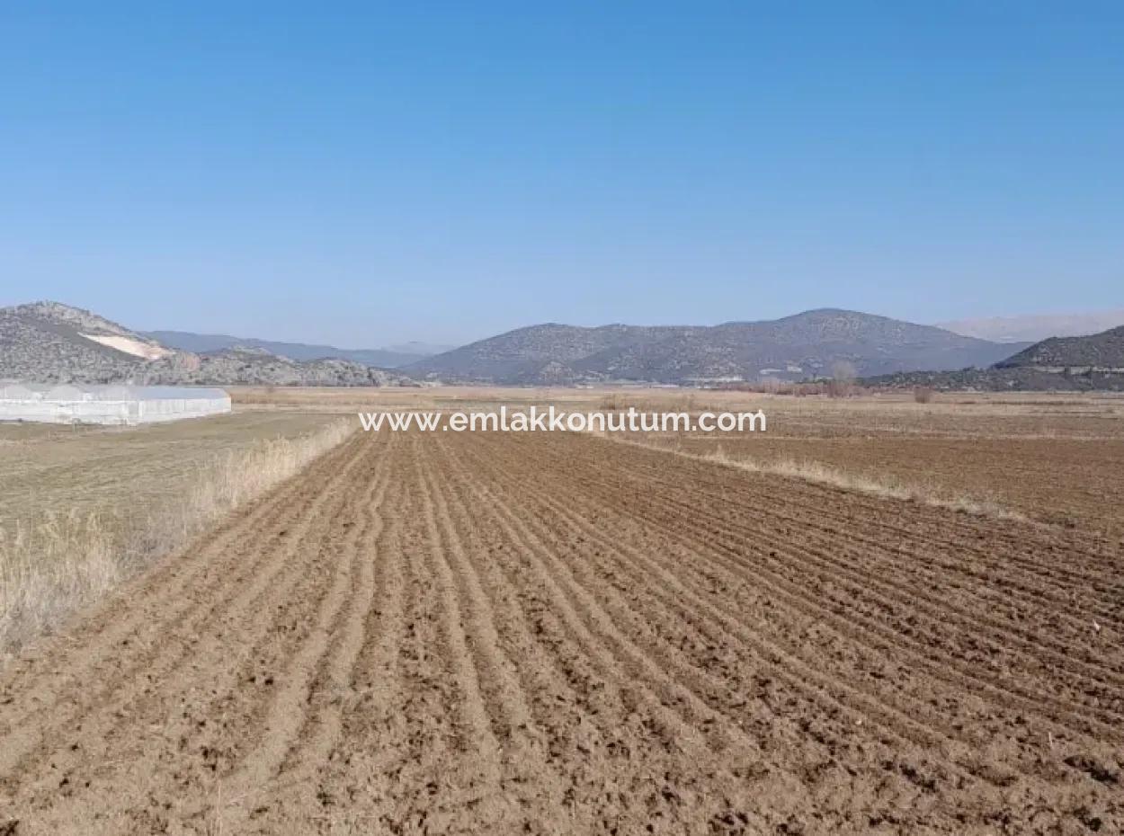 6 600 M2 Detached Land With Lake View For Sale In Burdur Gölhisar Kargalı Village